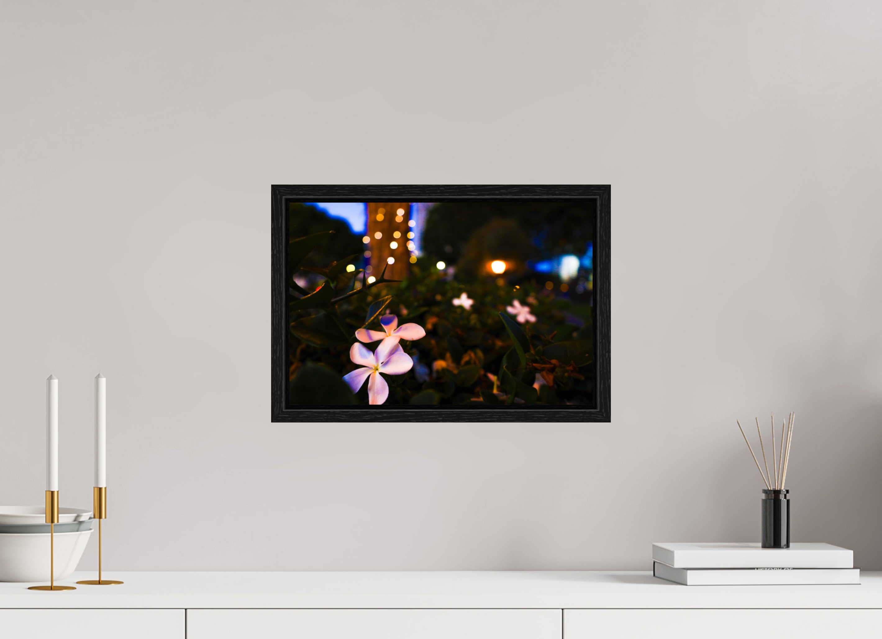 15 x 10″, Floater Frame Plumeria