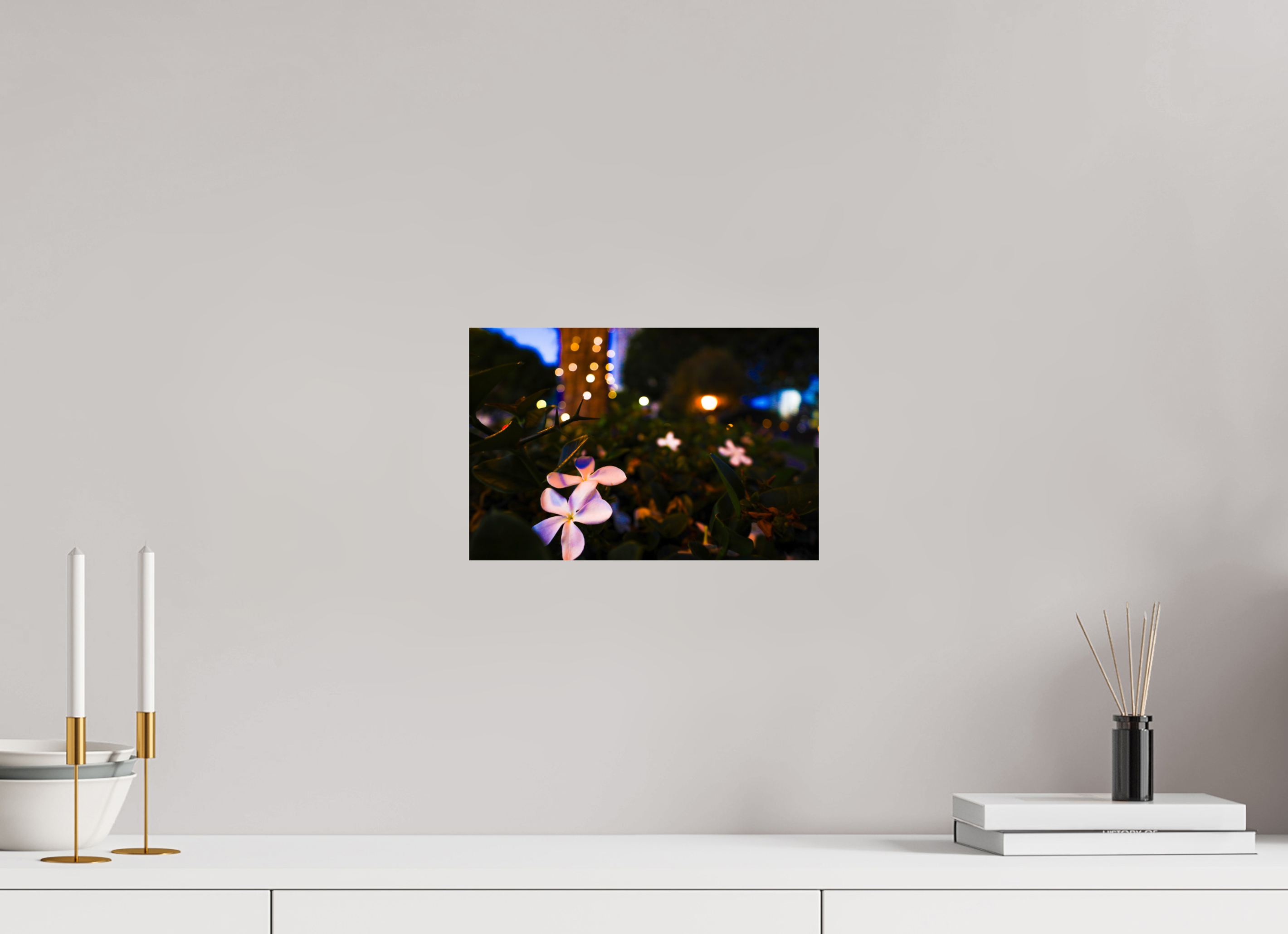 12 x 8″, Photo Print on Aluminum Backing Plumeria