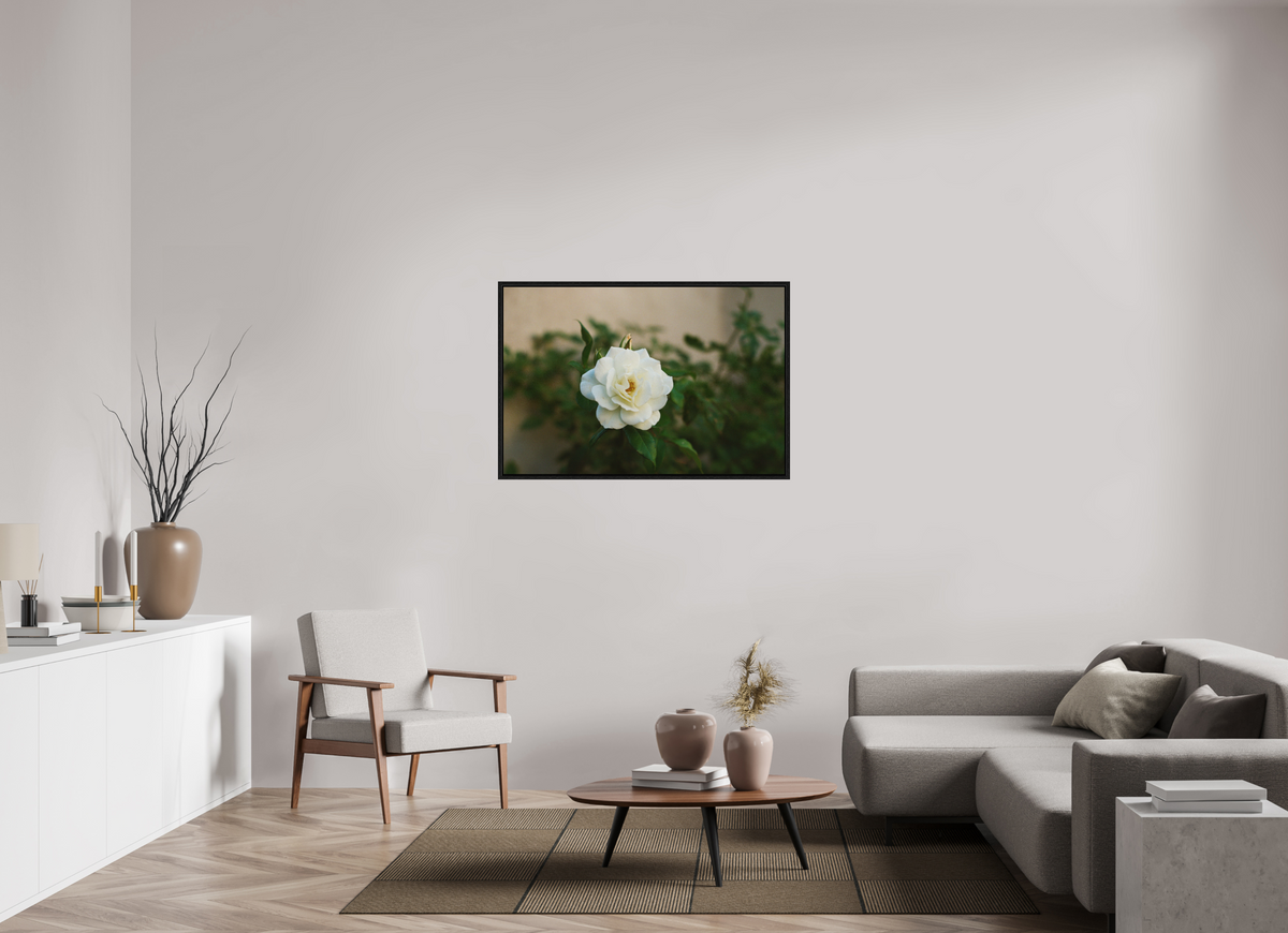 45 x 30″, Floater Frame White Rose