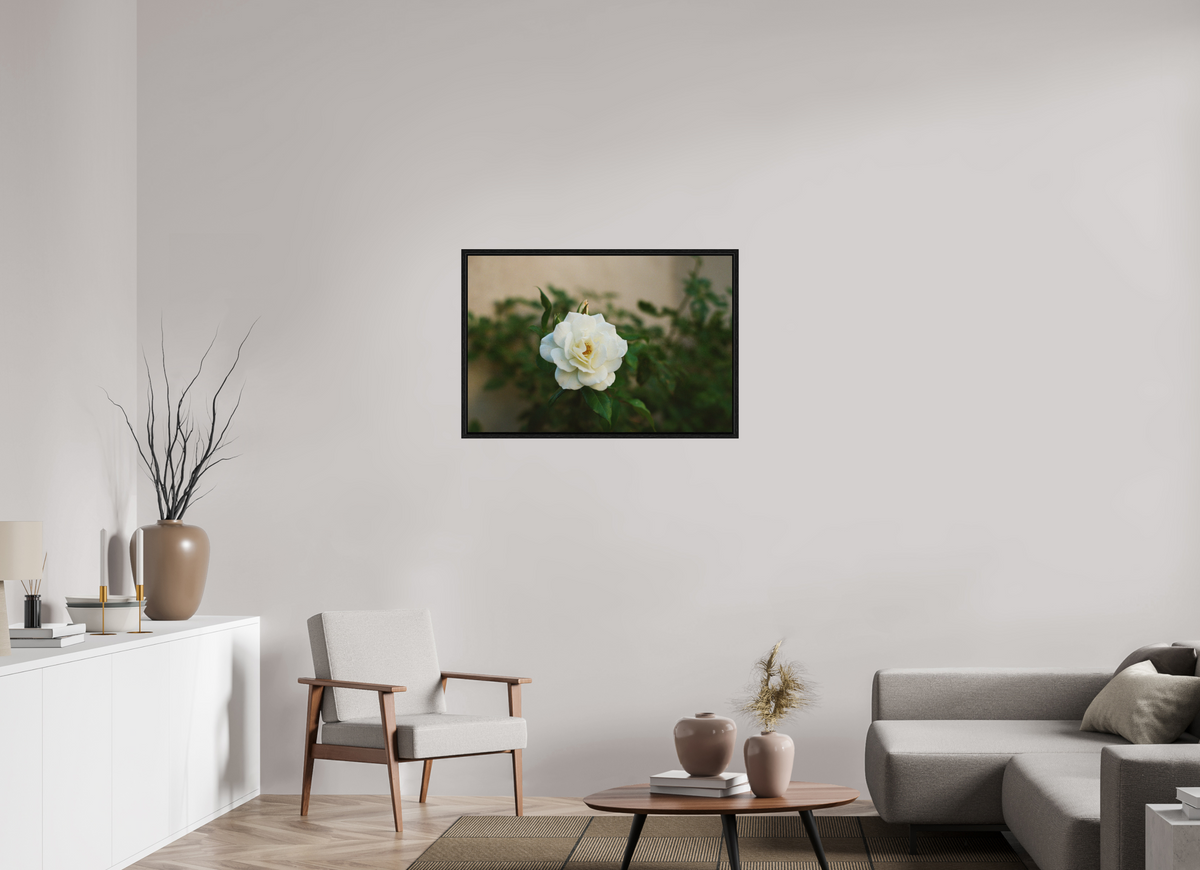 36 x 24″, Floater Frame White Rose
