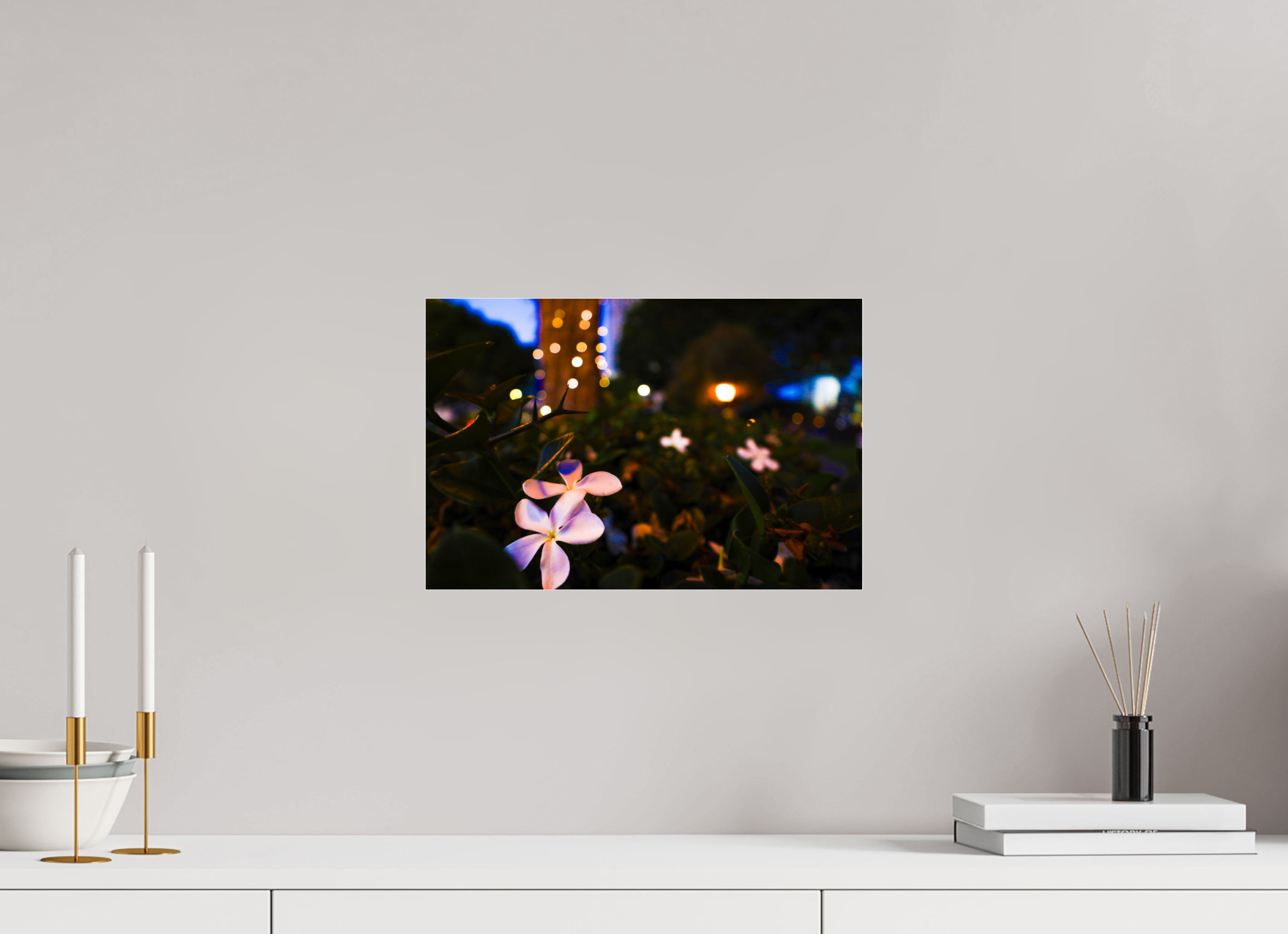 15 x 10″, Photo Print Under Acrylic Glass Plumeria